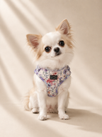 Whimsical Floral Adjustable Harness