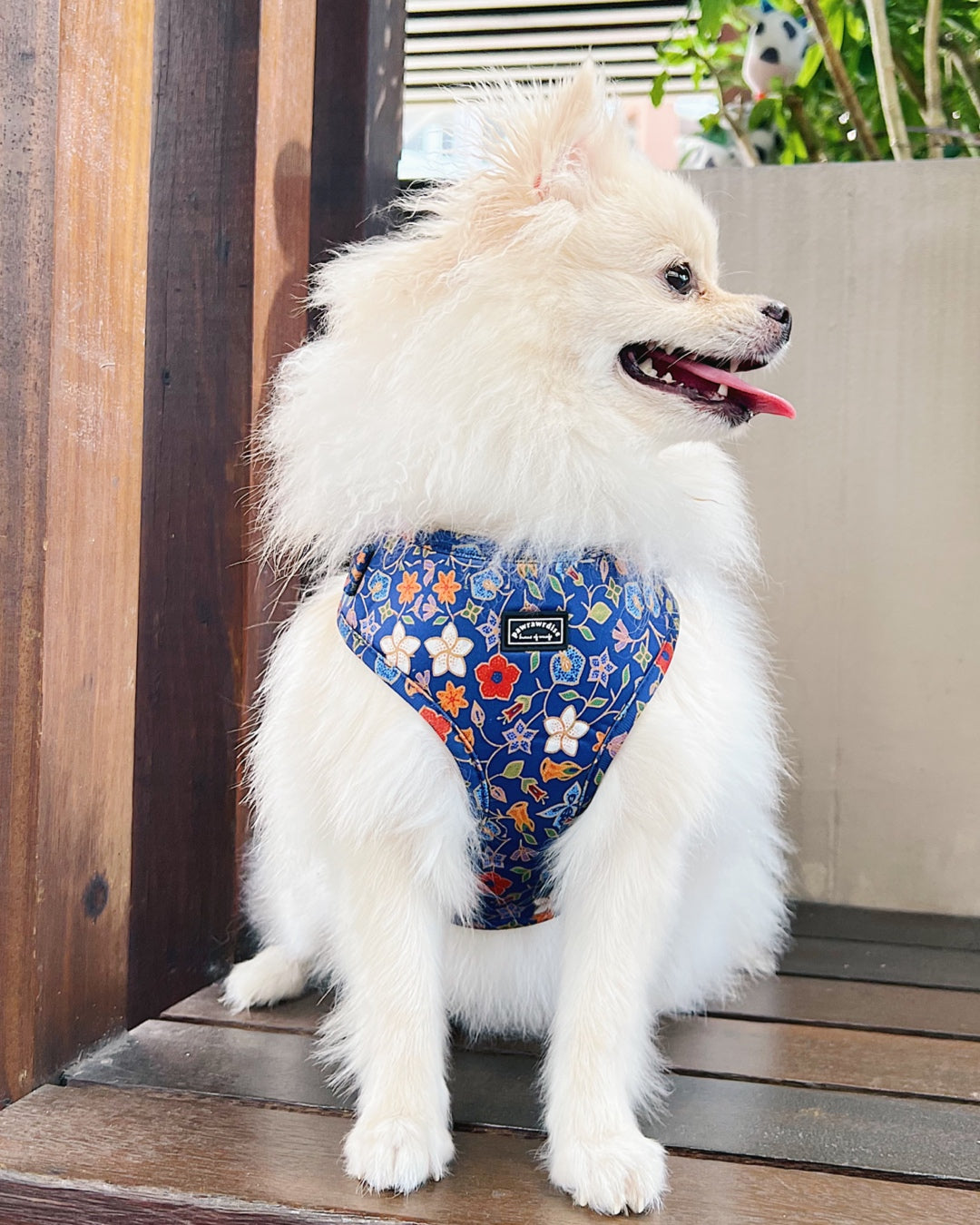 Caddy Batik Adjustable Harness