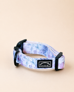 Whimsical Floral Dog Collar