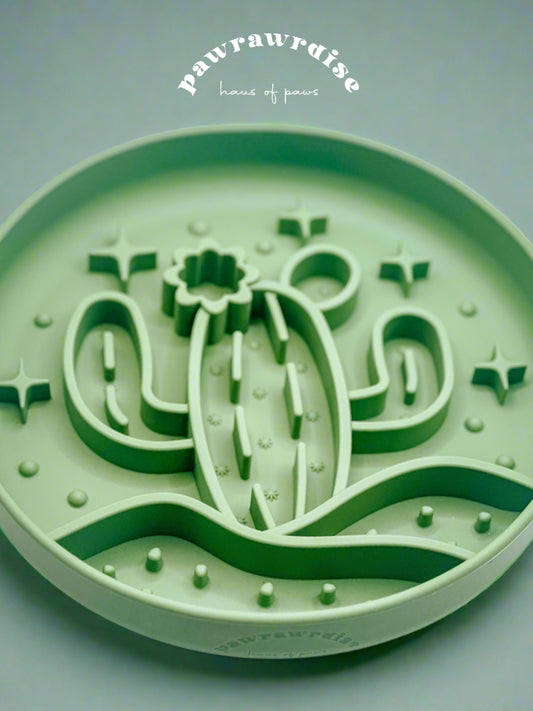 Cactus Slow Feeder / Light Green