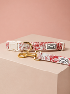 City of Love Dog Collar