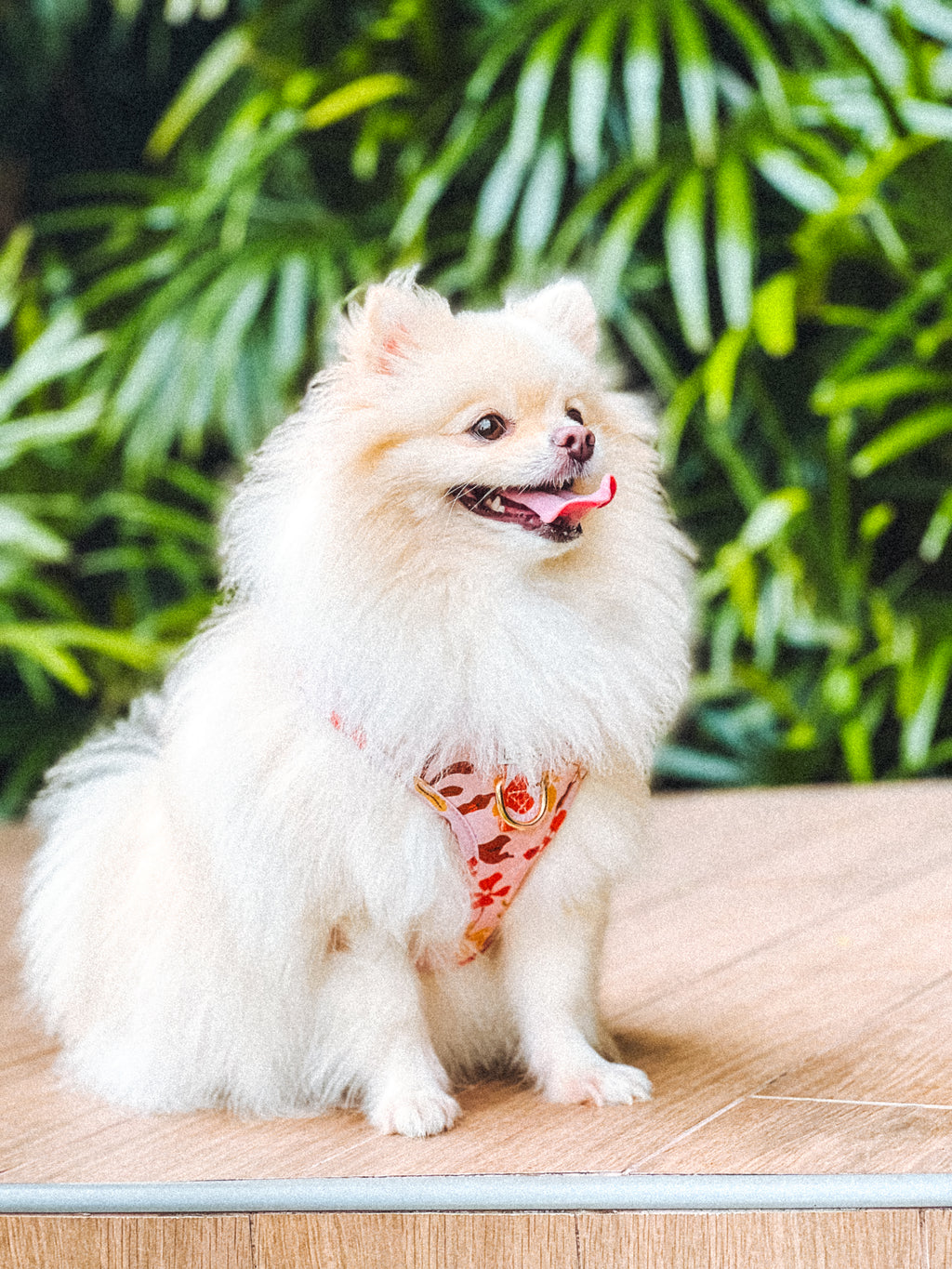 Summer Lurving Adjustable Harness