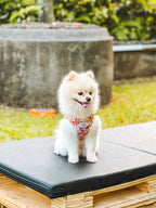 Summer Lurving Step-In Harness