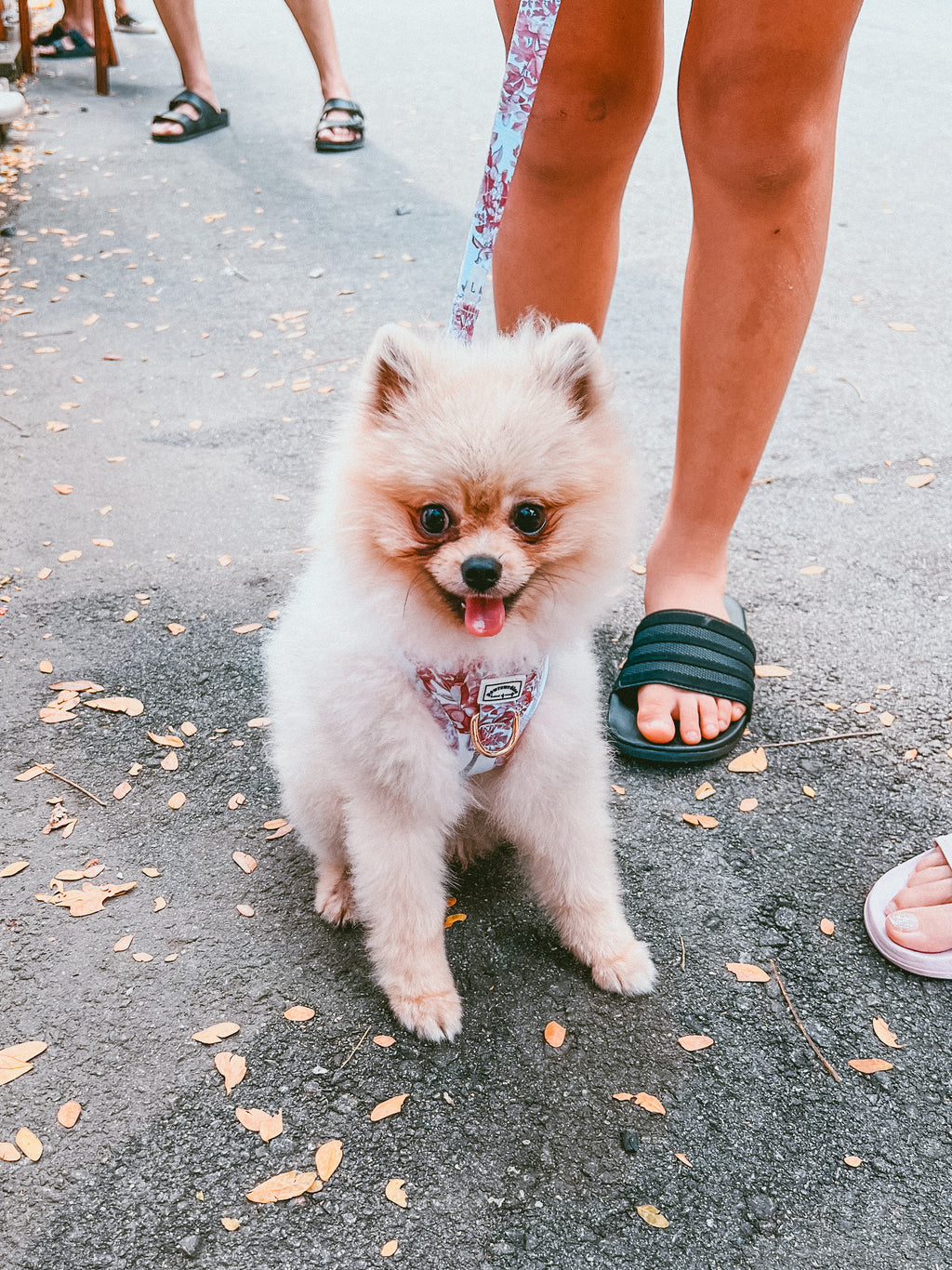 Two Piece Bundle - City of Love