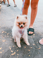 Two Piece Bundle - City of Love