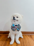 A white pomeranian dog wearing a pillow bow with jelly bears pattern.