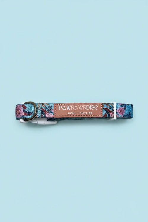 Laguna tropical dog collar with floral pattern and brown leather patch on a light blue background