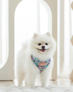 White Pomeranian dog wearing Laguna tropical adjustable harness sitting on a light-colored floor.