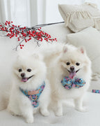 Two white Pomeranian dogs, one wearing Laguna tropical floral adjustable harness and another wearing matching pillow bow on a light-colored couch with decorative elements.