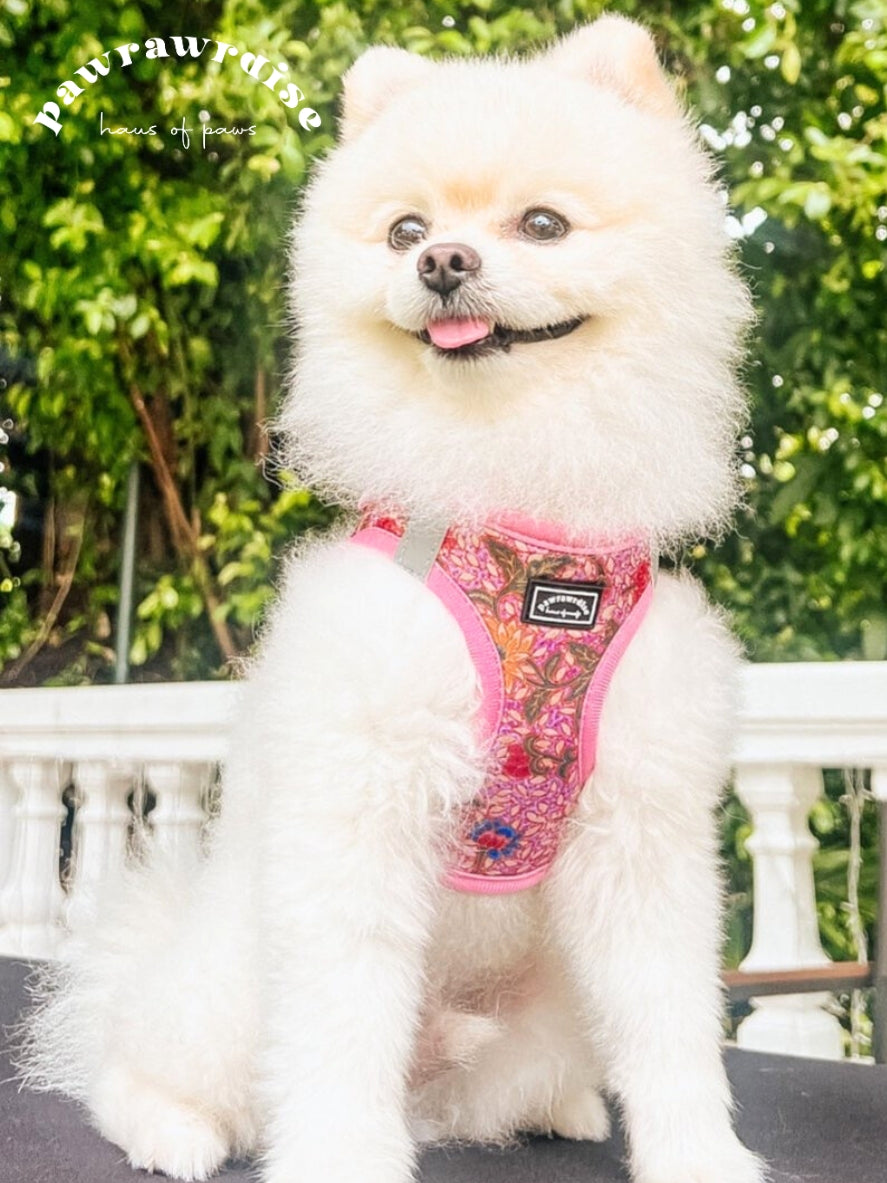 A small white Pomeranian dog wearing Leigh Nonya Batik step-in harness with a floral pattern