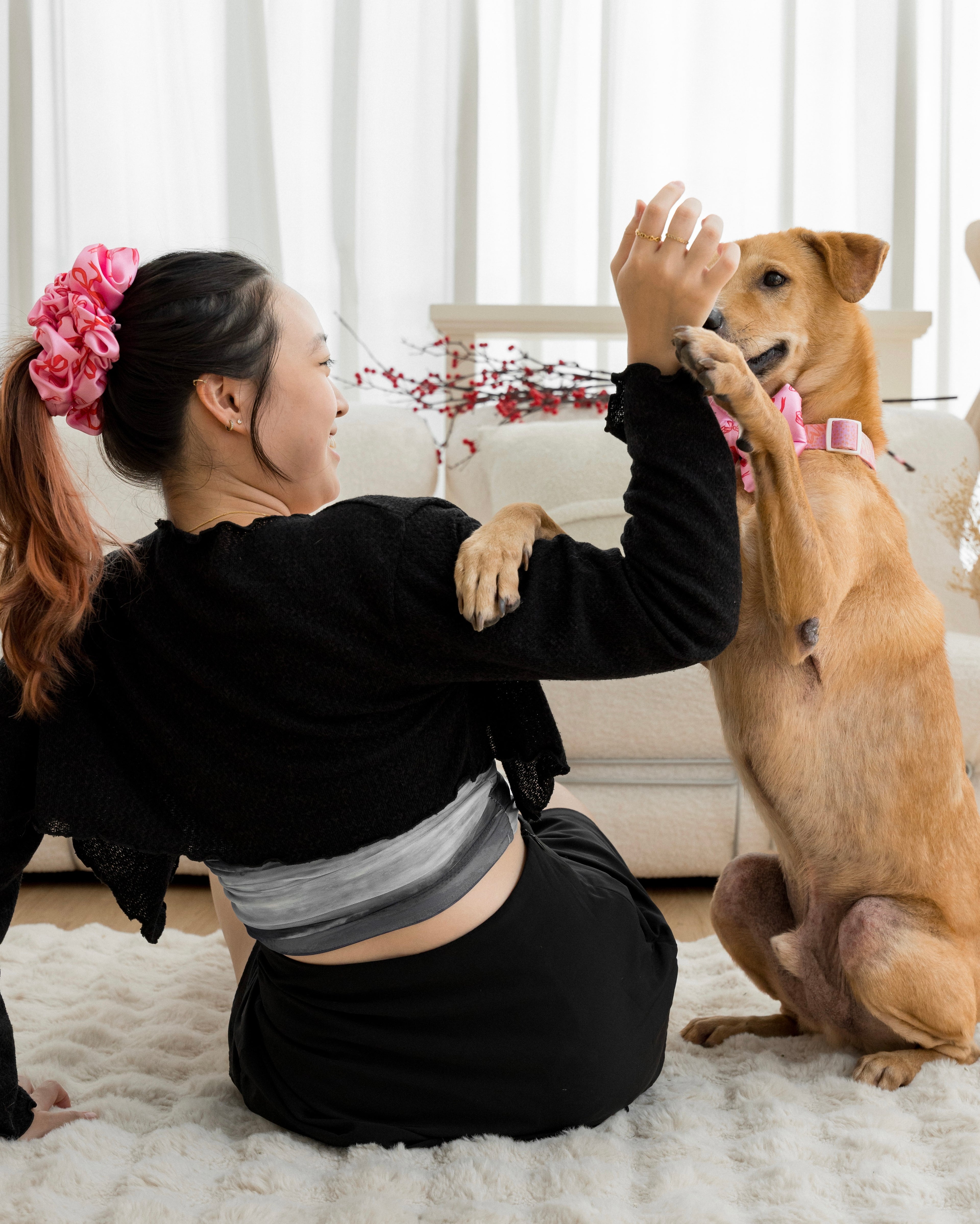 Woman wearing scrunchie and dog wearing collar and bow giving each other a high-five indoor