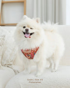 White Pomeranian dog wearing scarlet batik red adjustable harness standing on a white couch.