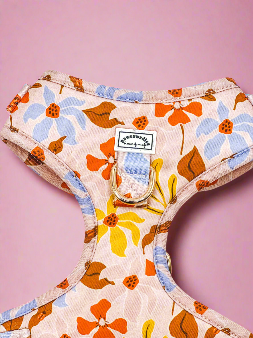 summer lurving dog harness with a visible pawrawrdise brand label on a pink background close-up view