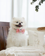 Blush Bloom Bow Tie – decorative pet bow in a soft floral print