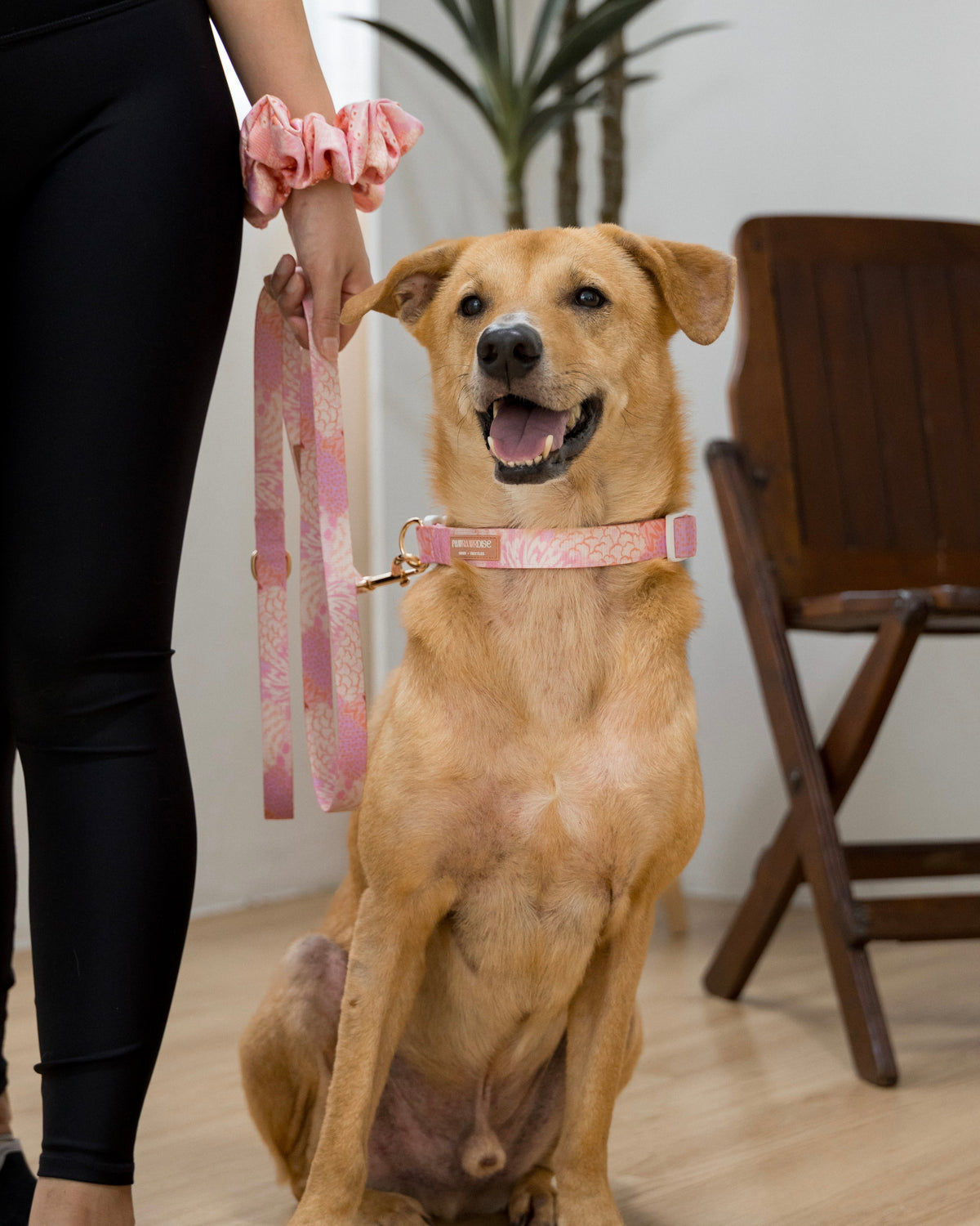 Blush Bloom coordinated pet accessories with a soft floral design