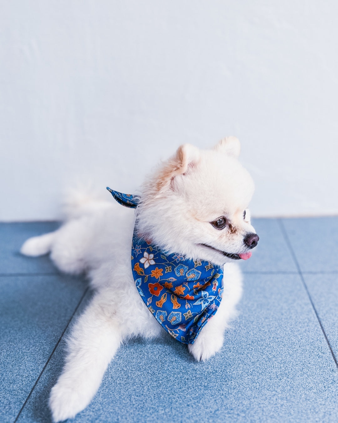 Caddy Batik Bandana: pet bandana in heritage-inspired batik print