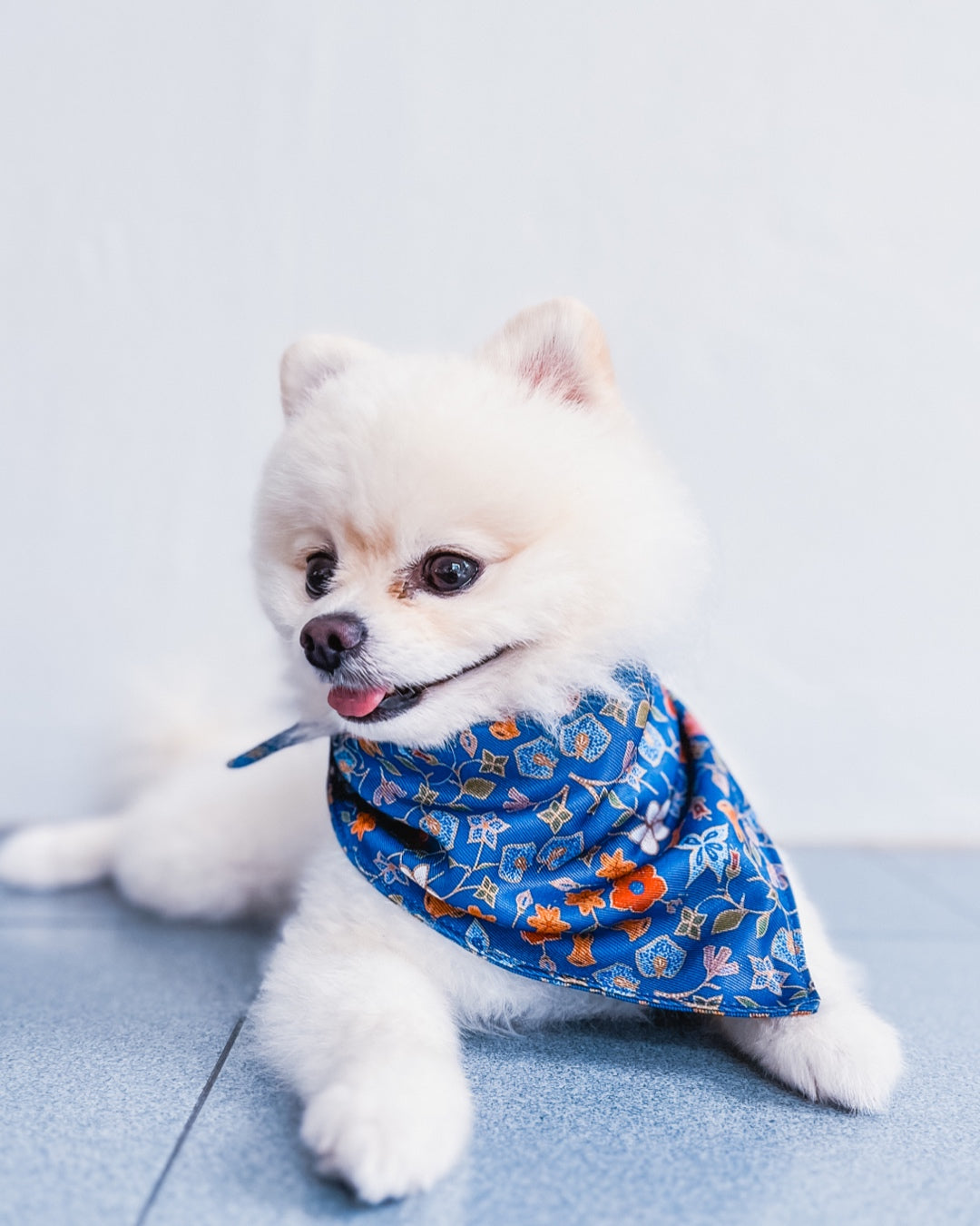 Caddy Batik Bandana: pet bandana in heritage-inspired batik print