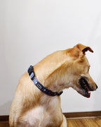 Caddy Batik Dog Collar: adjustable dog collar with buckle, leash ring and heritage-inspired batik print