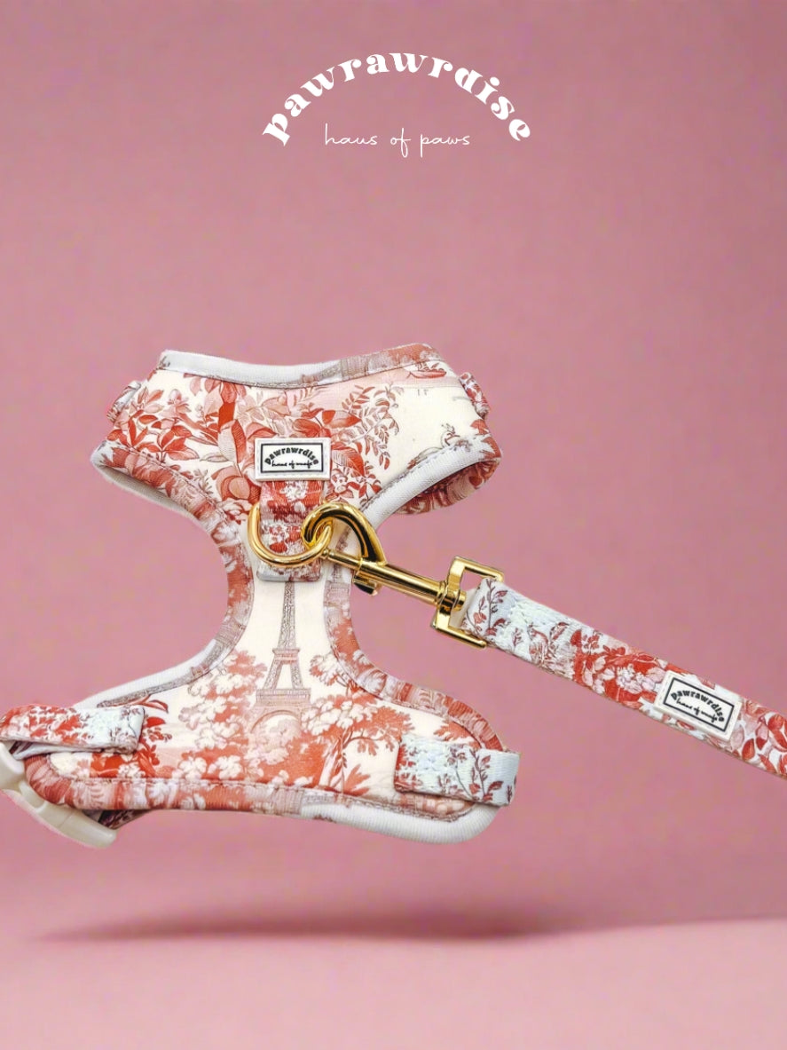 City of Love Leash – coordinating pet leash in a romantic toile-inspired print