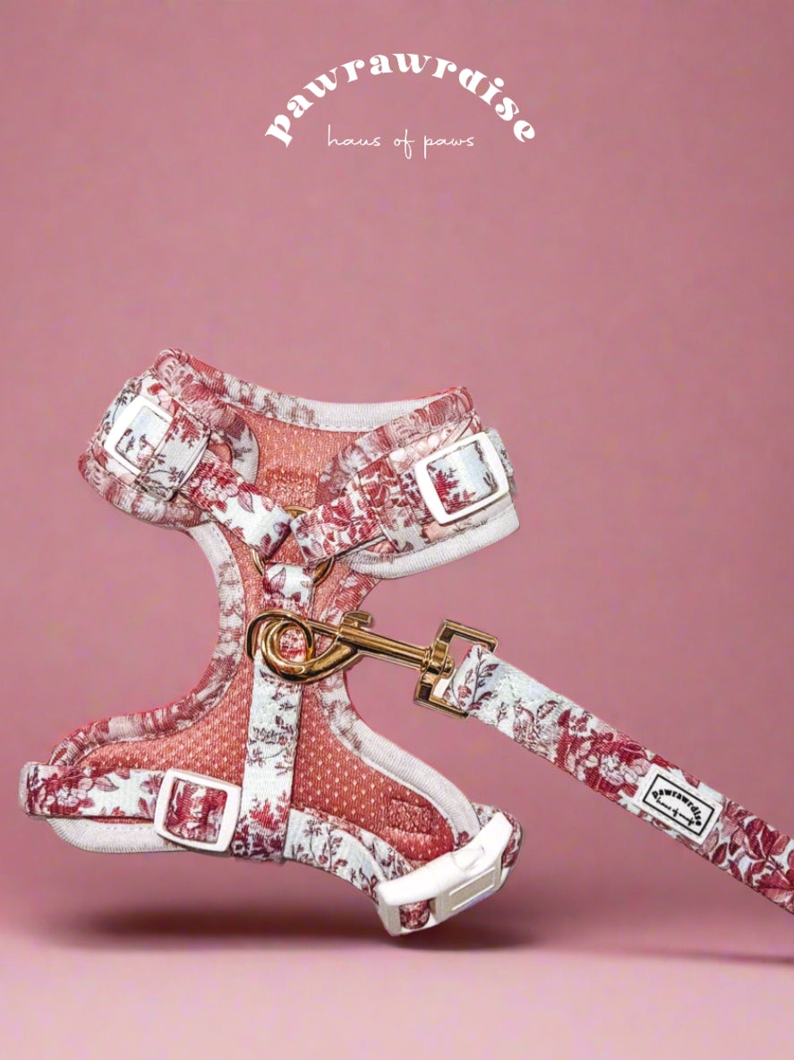 City of Love Leash – coordinating pet leash in a romantic toile-inspired print