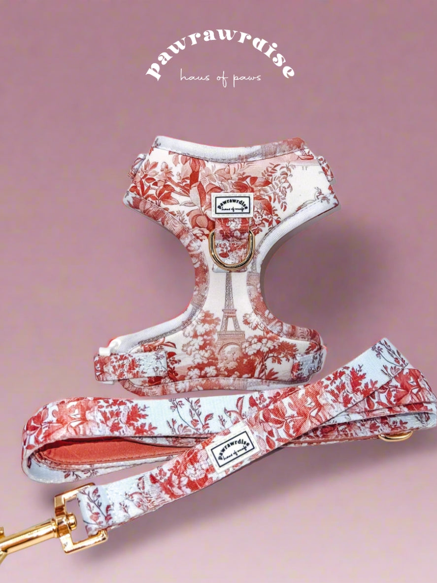 City of Love Leash – coordinating pet leash in a romantic toile-inspired print