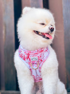 A white dog wearing a pink adjustable harness with an Eiffel tower and floral pattern and a buckle at the chest.