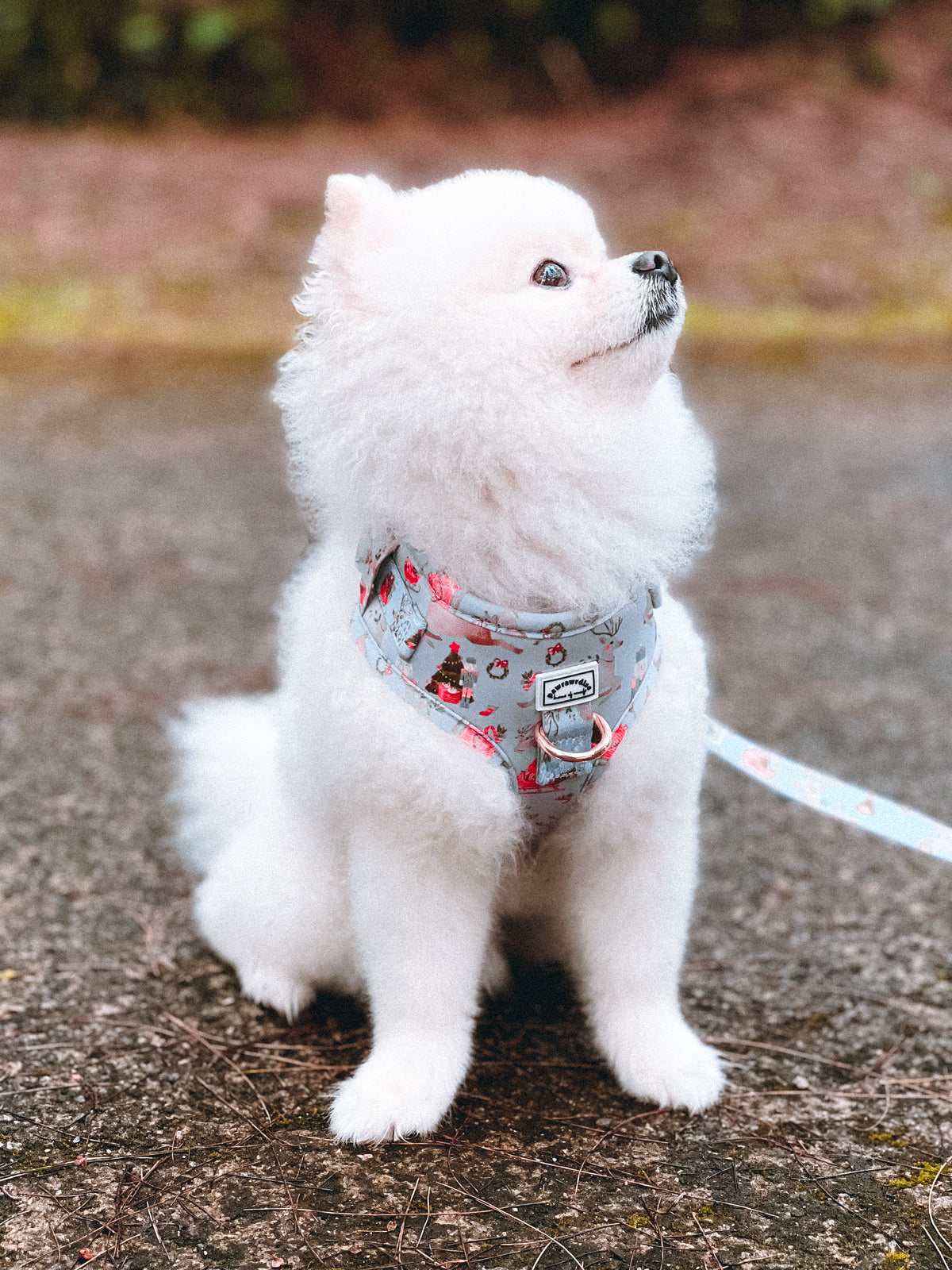 Dreamy Winter Adjustable Harness: adjustable straps and winter-inspired print, a harness for dogs and cats