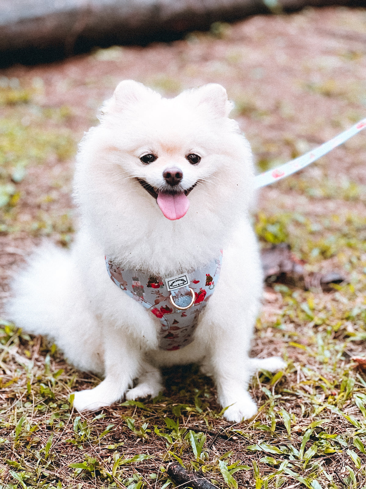 Dreamy Winter Adjustable Harness: adjustable straps and winter-inspired print, a harness for dogs and cats