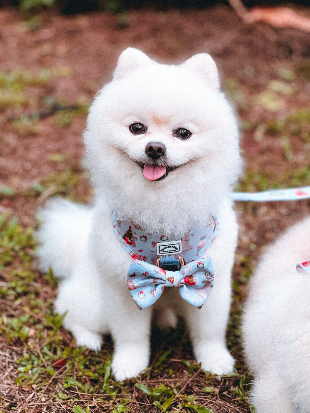 Dreamy Winter Bow: decorative pet bow in winter-inspired print