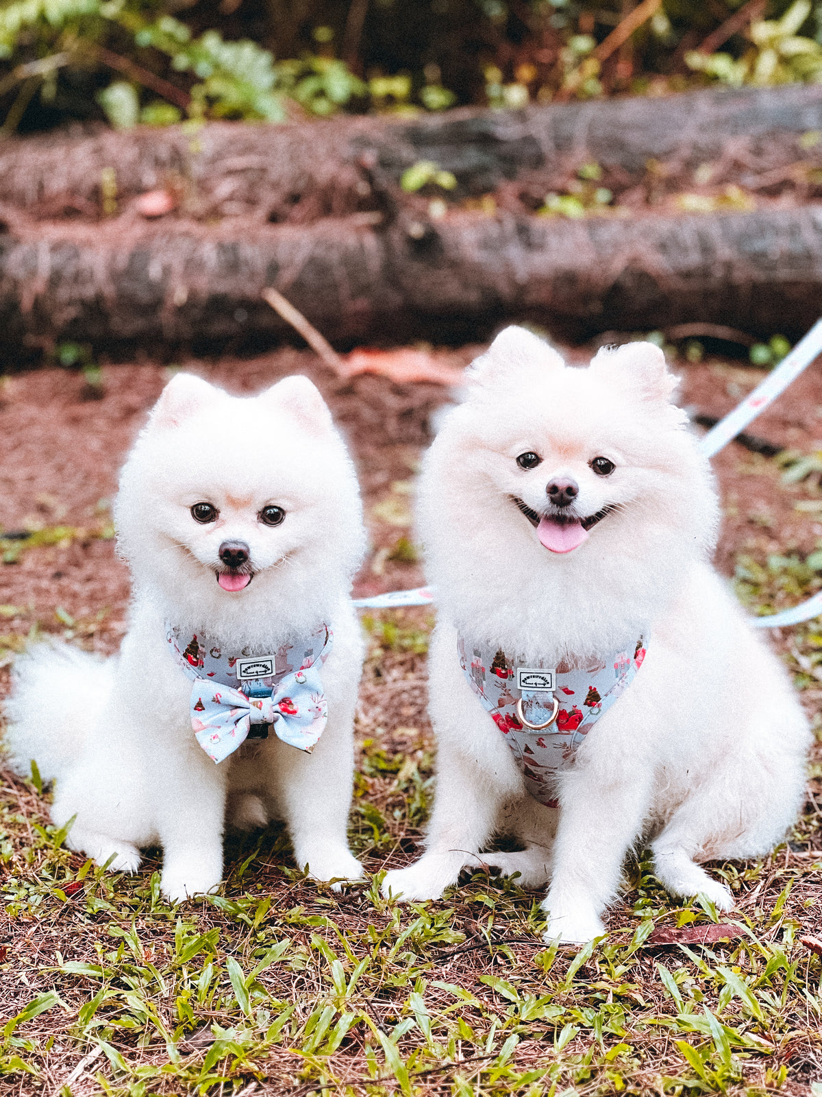 Dreamy Winter Bow: decorative pet bow in winter-inspired print