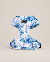 Enchanted Adjustable Harness