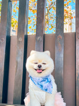 Enchanted Bandana