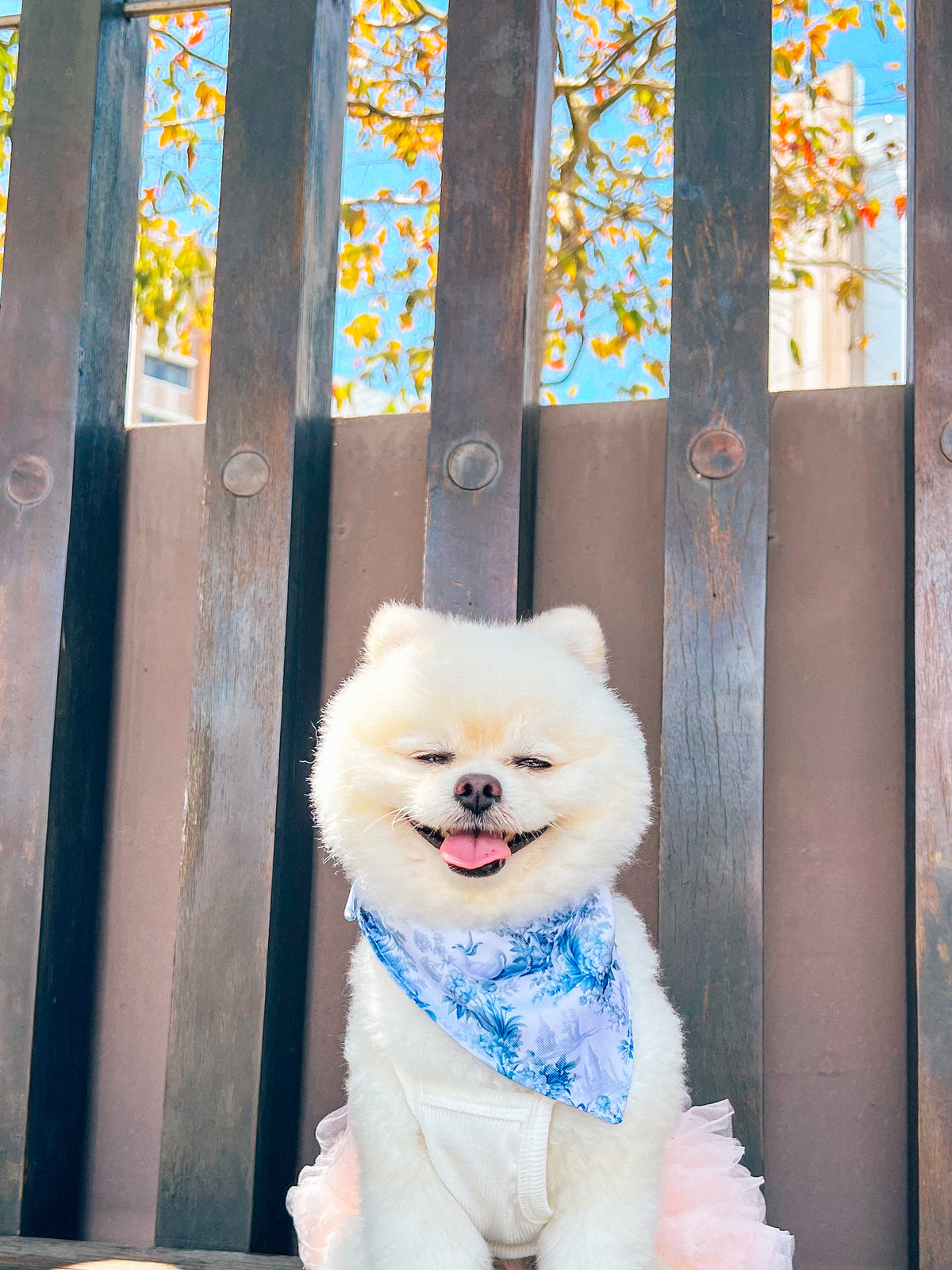 Enchanted Bandana – pet bandana in a blue and white floral print