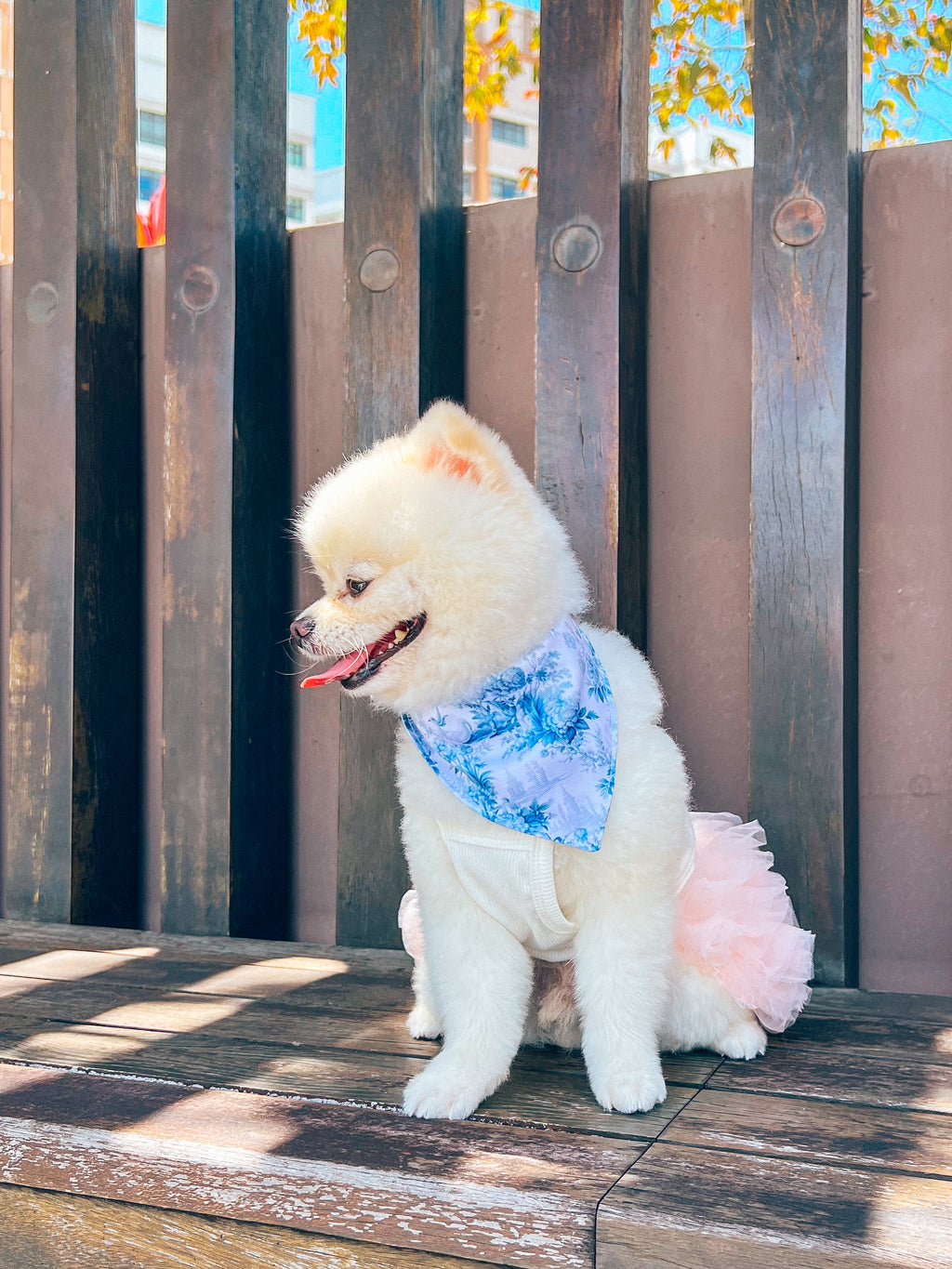 Enchanted Bandana – pet bandana in a blue and white floral print