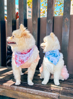 Enchanted Bandana – pet bandana in a blue and white floral print