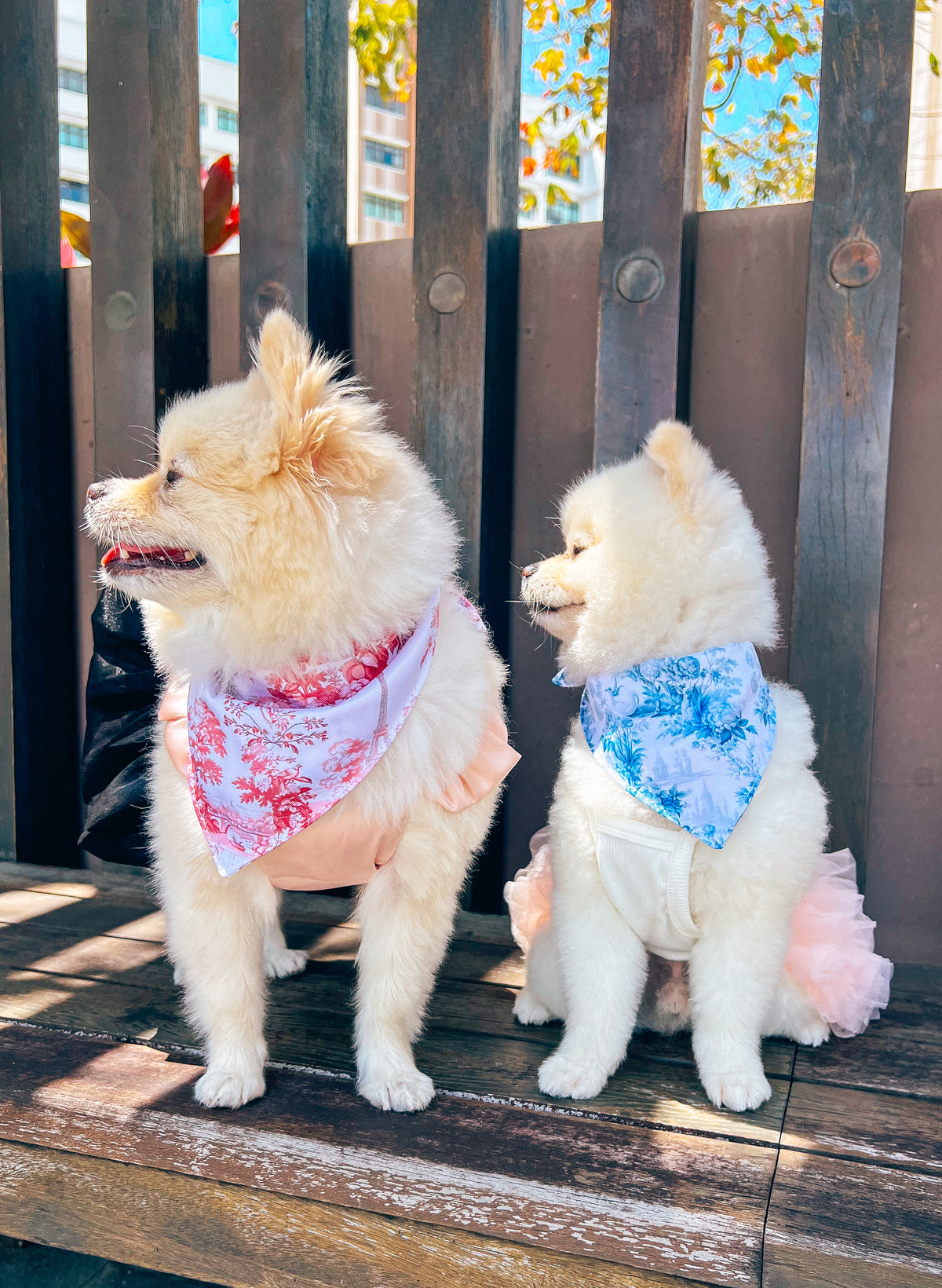 Enchanted Bandana – pet bandana in a blue and white floral print
