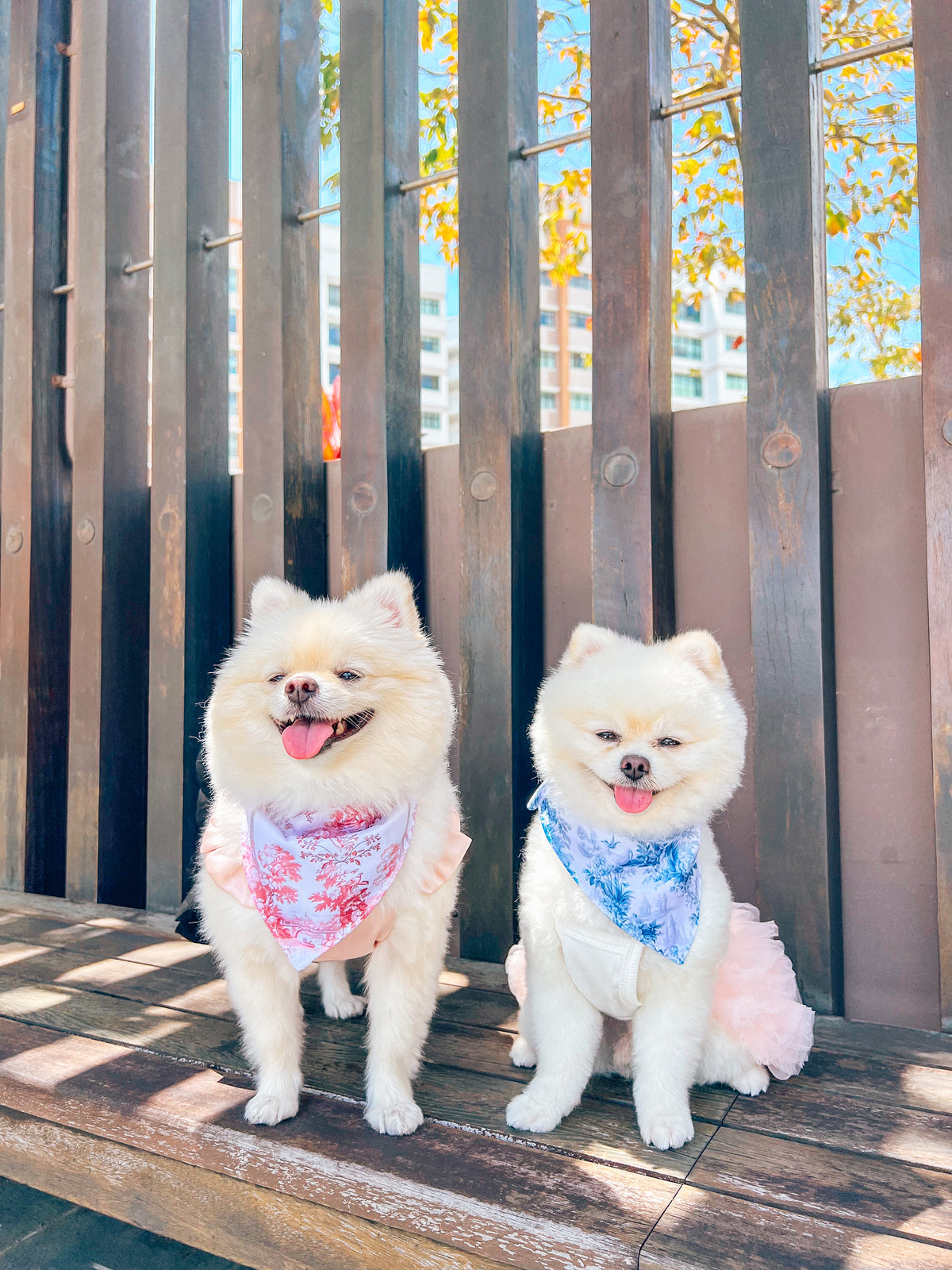 Enchanted Bandana – pet bandana in a blue and white floral print