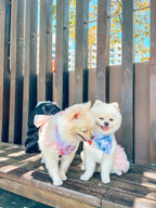 Enchanted Bandana – pet bandana in a blue and white floral print
