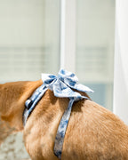 Enchanted Sailor Bow – a decorative pet sailor bow in an Enchanted floral print
