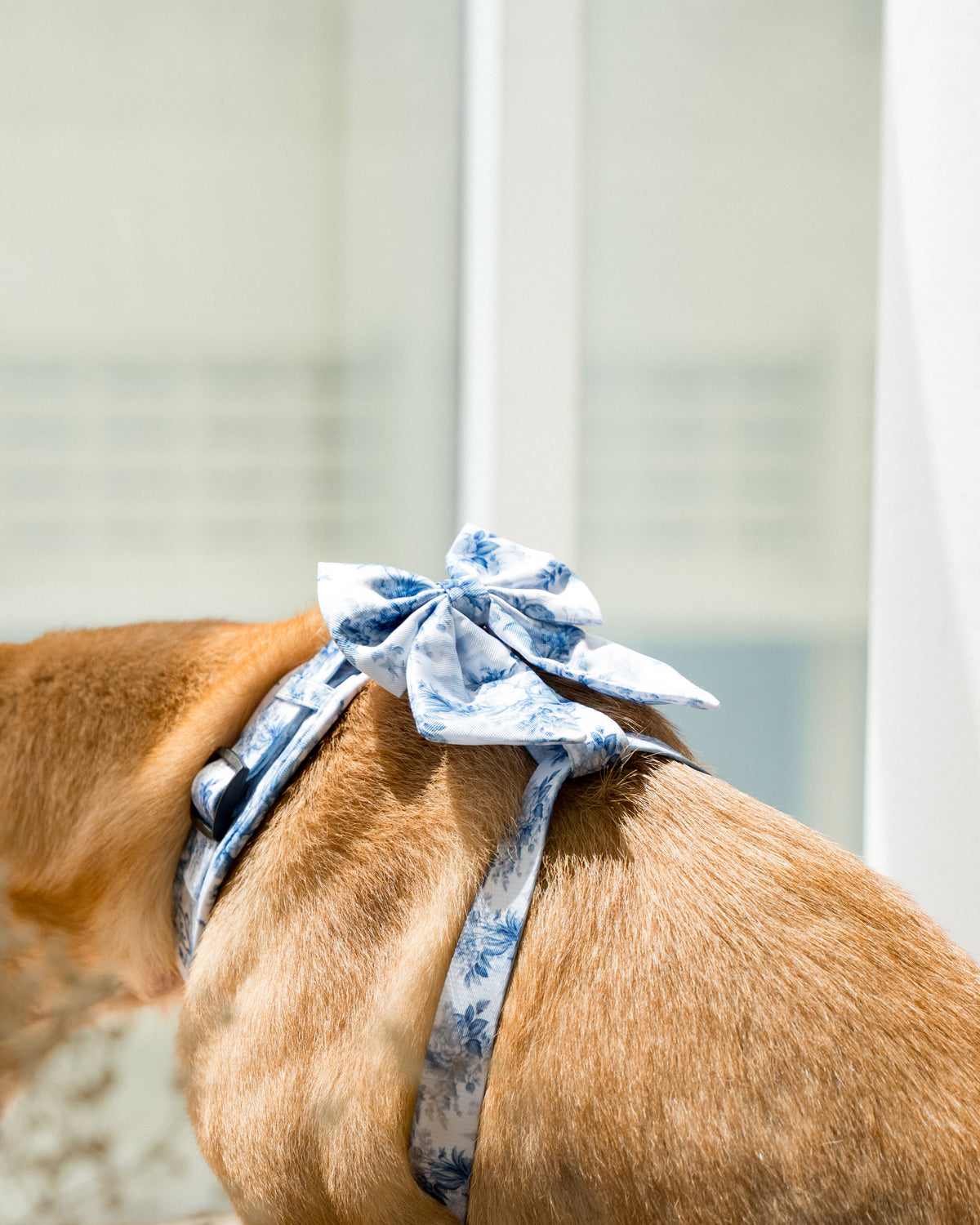Enchanted Sailor Bow – a decorative pet sailor bow in an Enchanted floral print