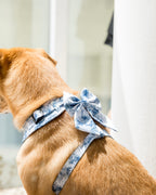 Enchanted Sailor Bow – a decorative pet sailor bow in an Enchanted floral print