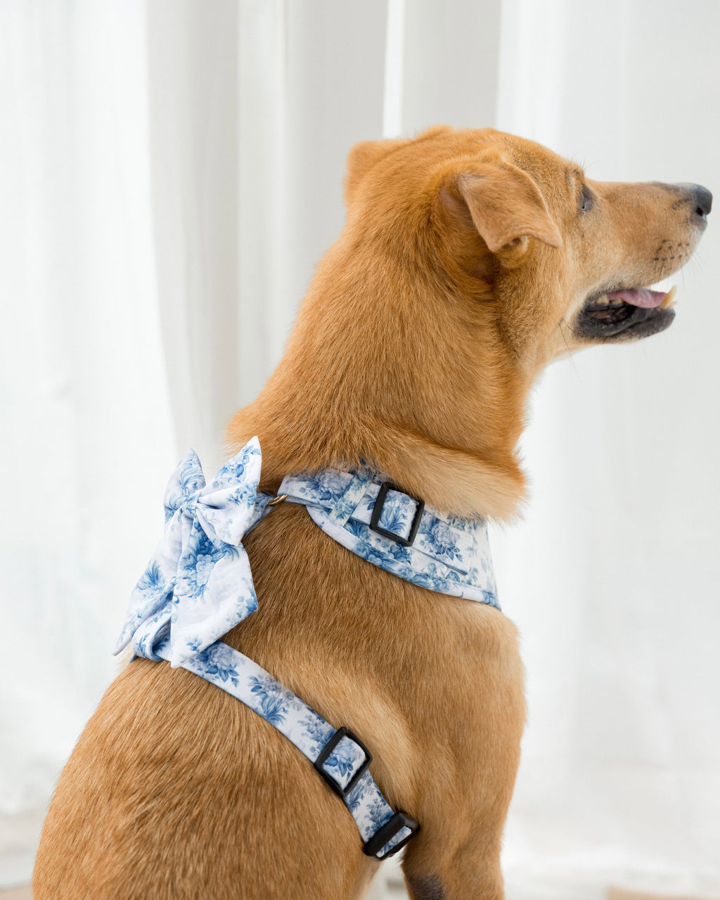 Enchanted Sailor Bow – a decorative pet sailor bow in an Enchanted floral print