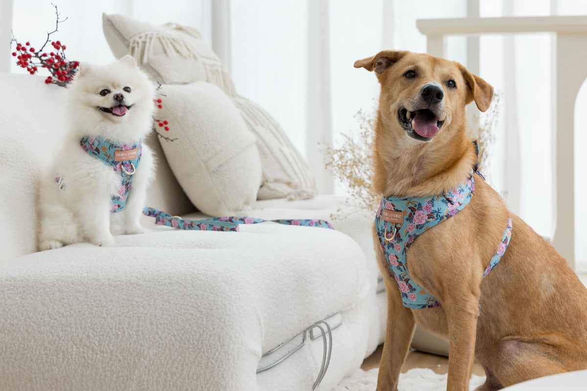 Laguna Tropical Leash – coordinating pet leash in a tropical floral print