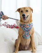 Laguna Tropical coordinated pet accessories with a tropical floral design