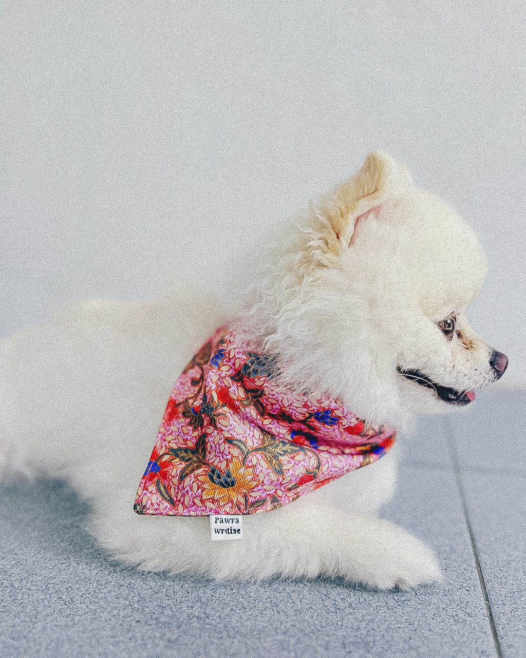 Leigh Nonya Blossom Bandana: pet bandana in Nonya-inspired floral print