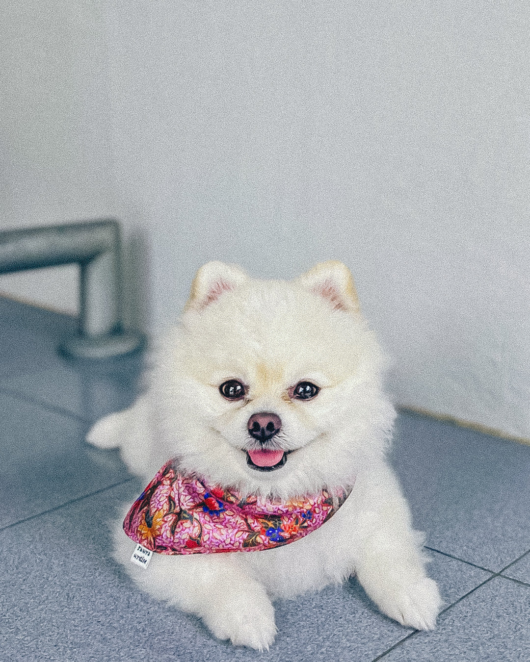 Leigh Nonya Blossom Bandana: pet bandana in Nonya-inspired floral print