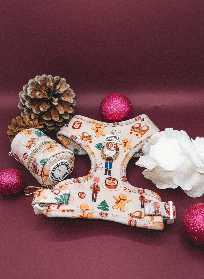 Noel matching harness and walking accessories for dogs and cats in a festive print