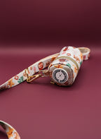 Noel coordinated pet accessories with a festive design