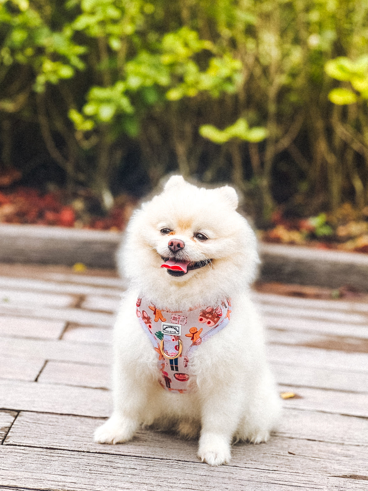 Noel’s Tradition Adjustable Harness – festive adjustable or step-in harness designed for dogs and cats