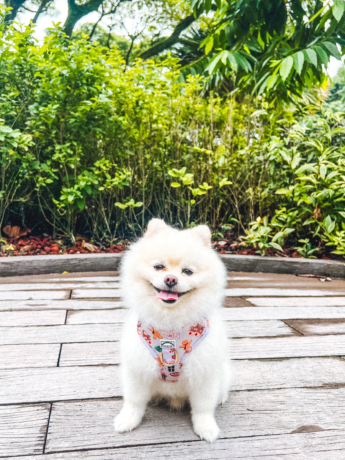 Noel’s Tradition Adjustable Harness – festive adjustable or step-in harness designed for dogs and cats